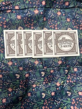 Ernie Ball Earthwood Folk Nylon Ball End acoustic guitar strings (Model 2069)